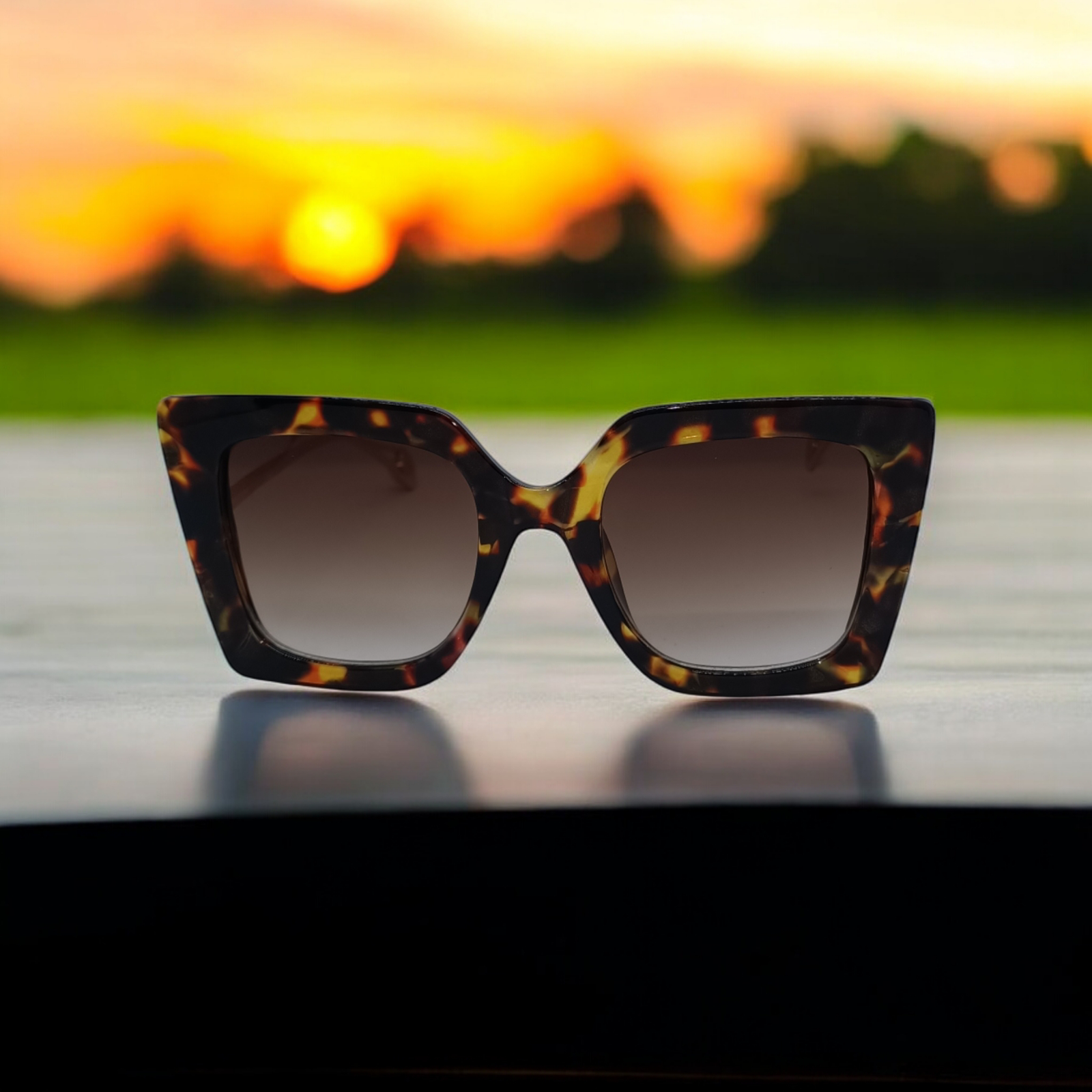 Grande Lunettes de Soleil 