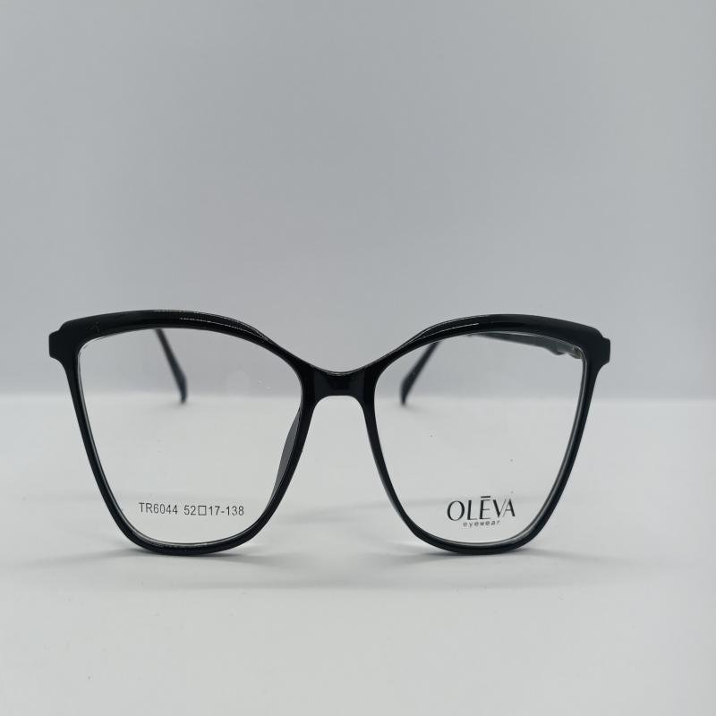 Monture OLÉVA eyewear Réf: TR 6044